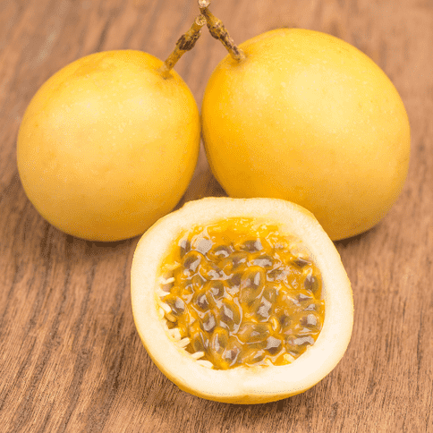 Buy 1000 Instagram Followers