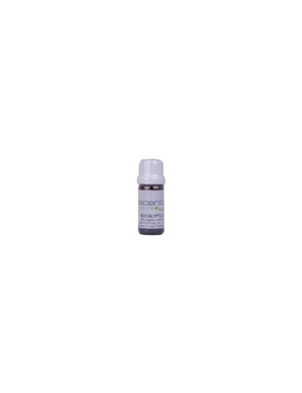 Eucalyptus Essential Oil, 10ml