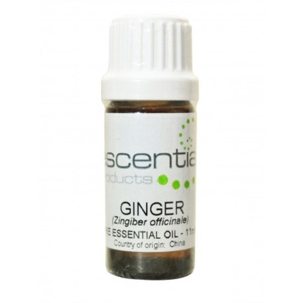 Ginger Essential OIl, 10ml