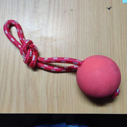 Indestructible Dog Ball