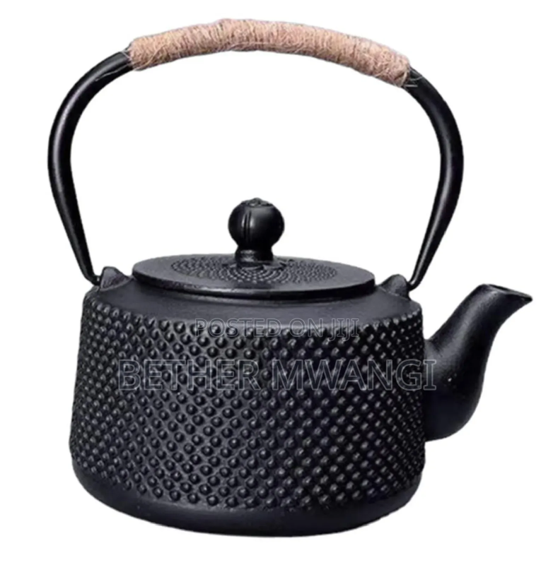 Japanese Cast Iron Tea Pot