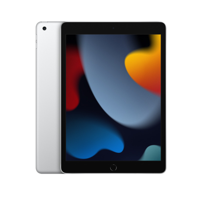 Apple 10.2" iPad (9th Gen, 256GB, Wi-Fi + 4G LTE)