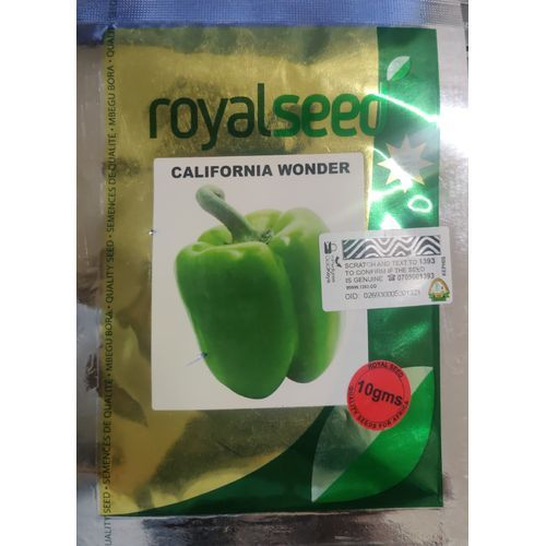 Royal CALIFORNIA WONDER CAPSICUM (HOHO)