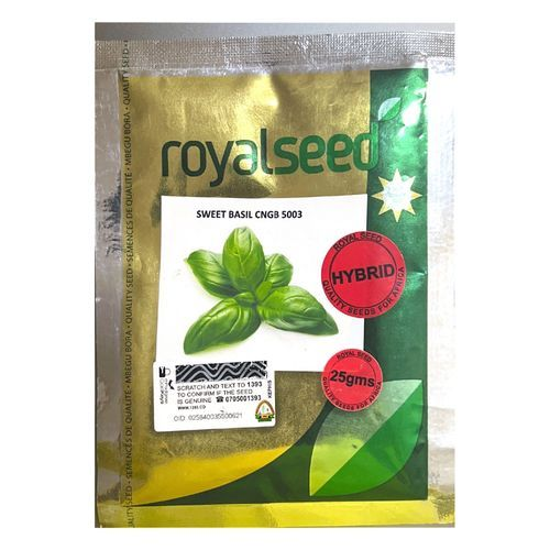 Royal SWEET BASIL CNGB 5003 HYBRID