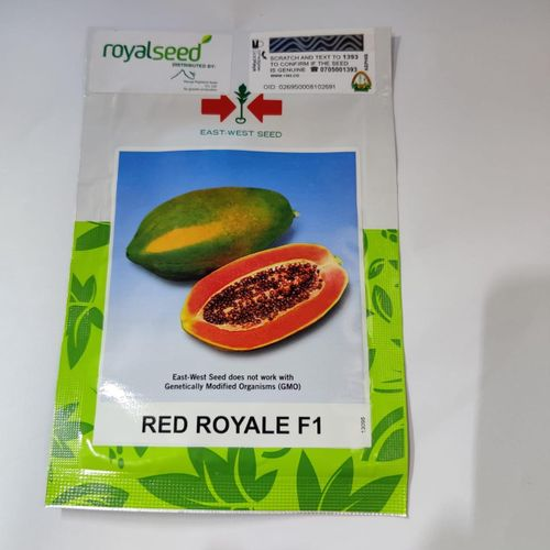 papaya red royale seeds (10 seed)