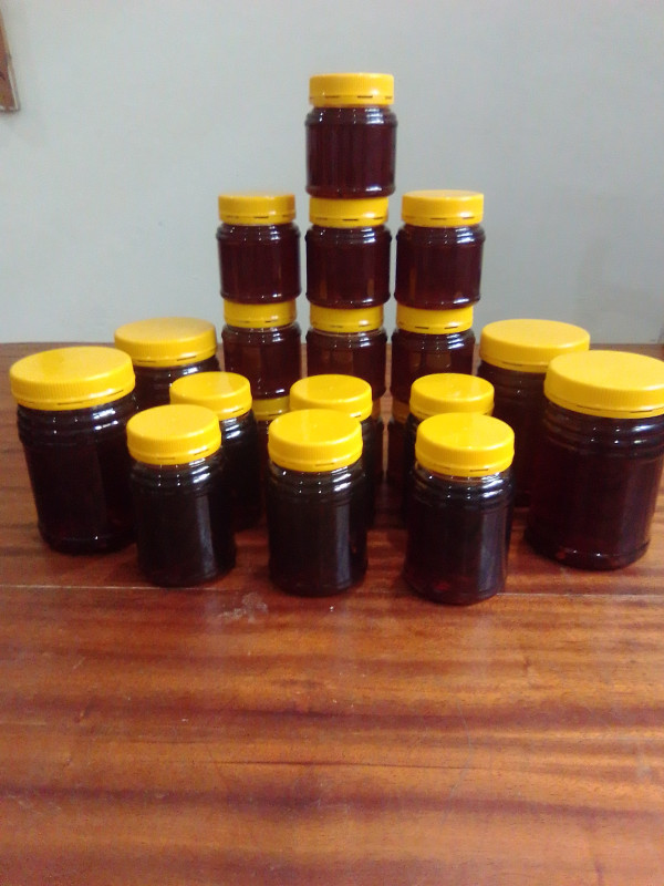 Pure Honey Asali Asili