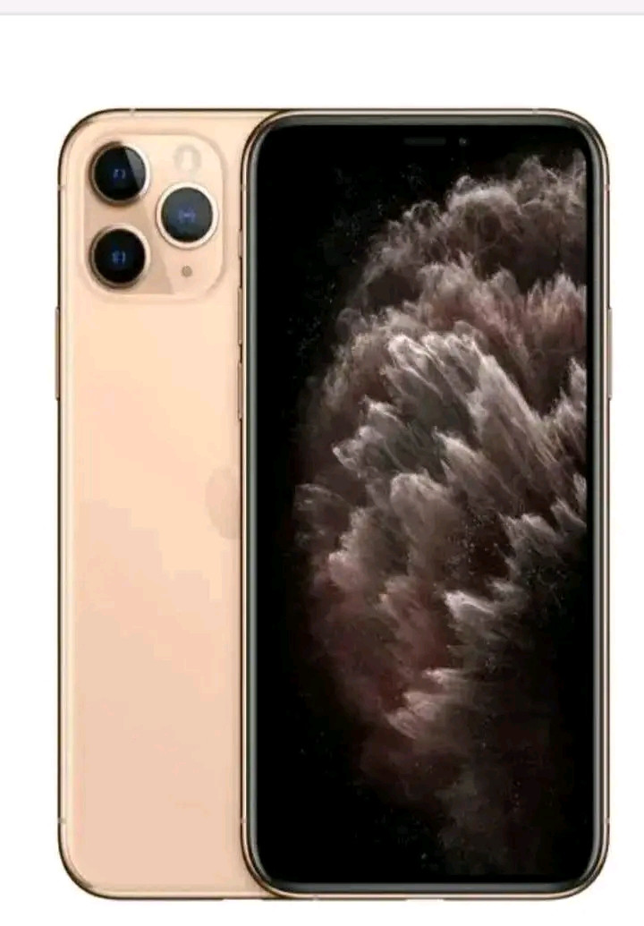 apple iphone 11 pro max (256gb)