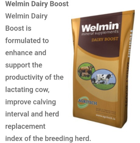 Welmin Dairy Boost