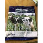 Advanta Nutrifeed Forage Pearl Millet