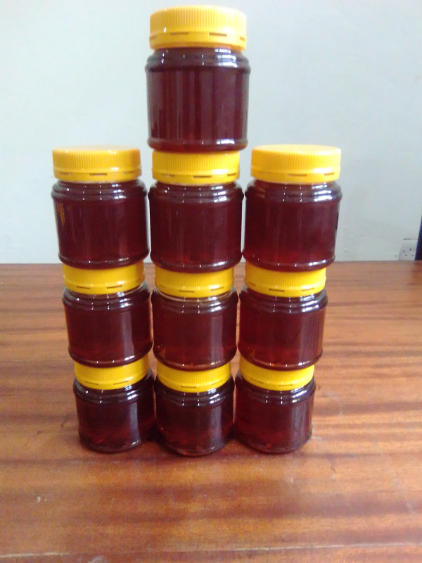 Pure Honey Asali Asili 300Grams