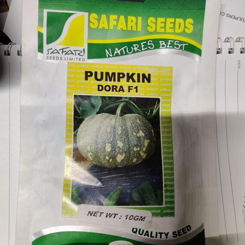 Safari Safariseeds Pumpkin Dora F1