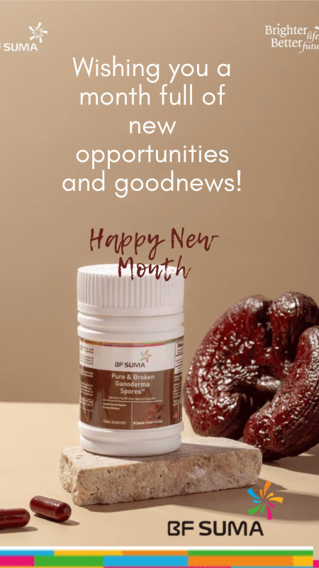 Pure broken  Ganoderma