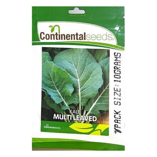 Continental KALE MULTILEAVES (SUKUMA WIKI)