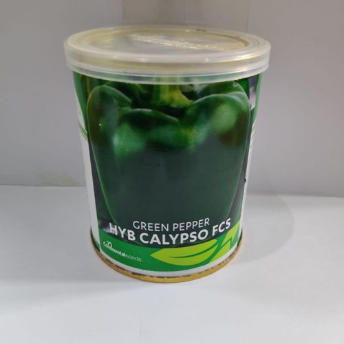 Continental Green Pepper HYB Calypso FCS (pilipili Hoho) Seeds