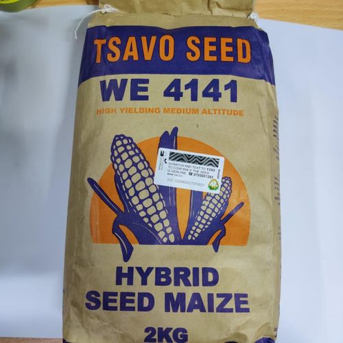 Seeds Hybrid Tsavo Maize Seed WE 4141