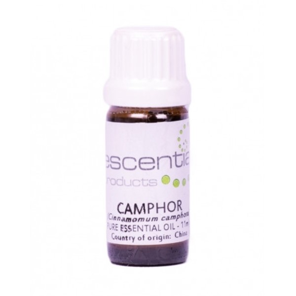 Camphor Essential Oil, 10ml