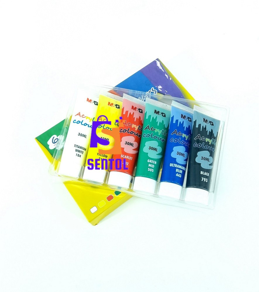 6 Color Acrylic Paint Set 30ml Tubes