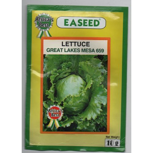 Easeed LETTUCE GREAT LAKES MESA 659 10GM