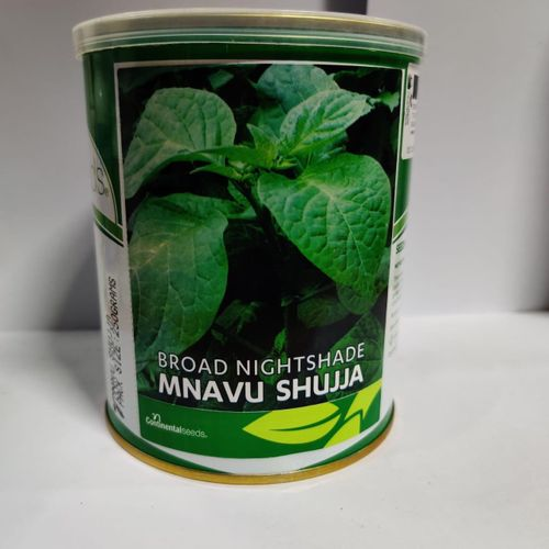 Continental Seed Broad Nightshade Mnavu Shujja Seeds