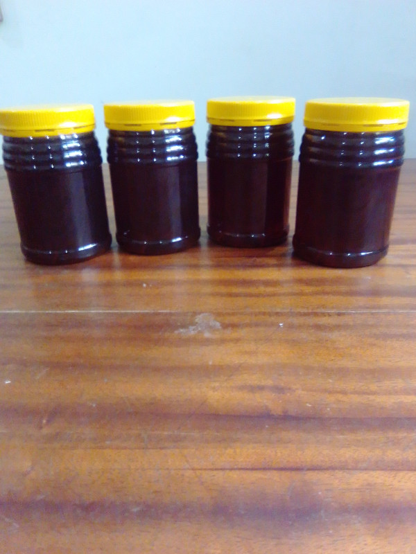 Pure Honey Asali Asili 1 KG