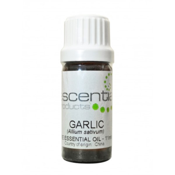 Garlic Essential Oil, 10ml