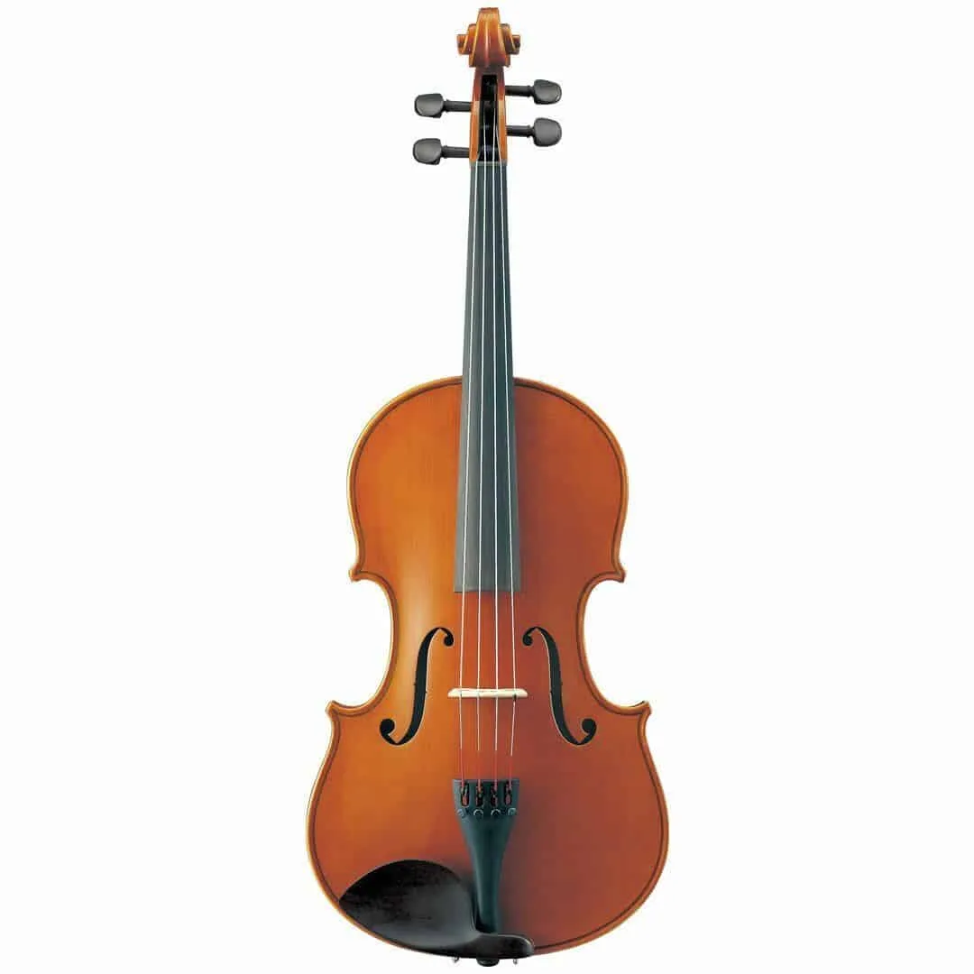 Viola