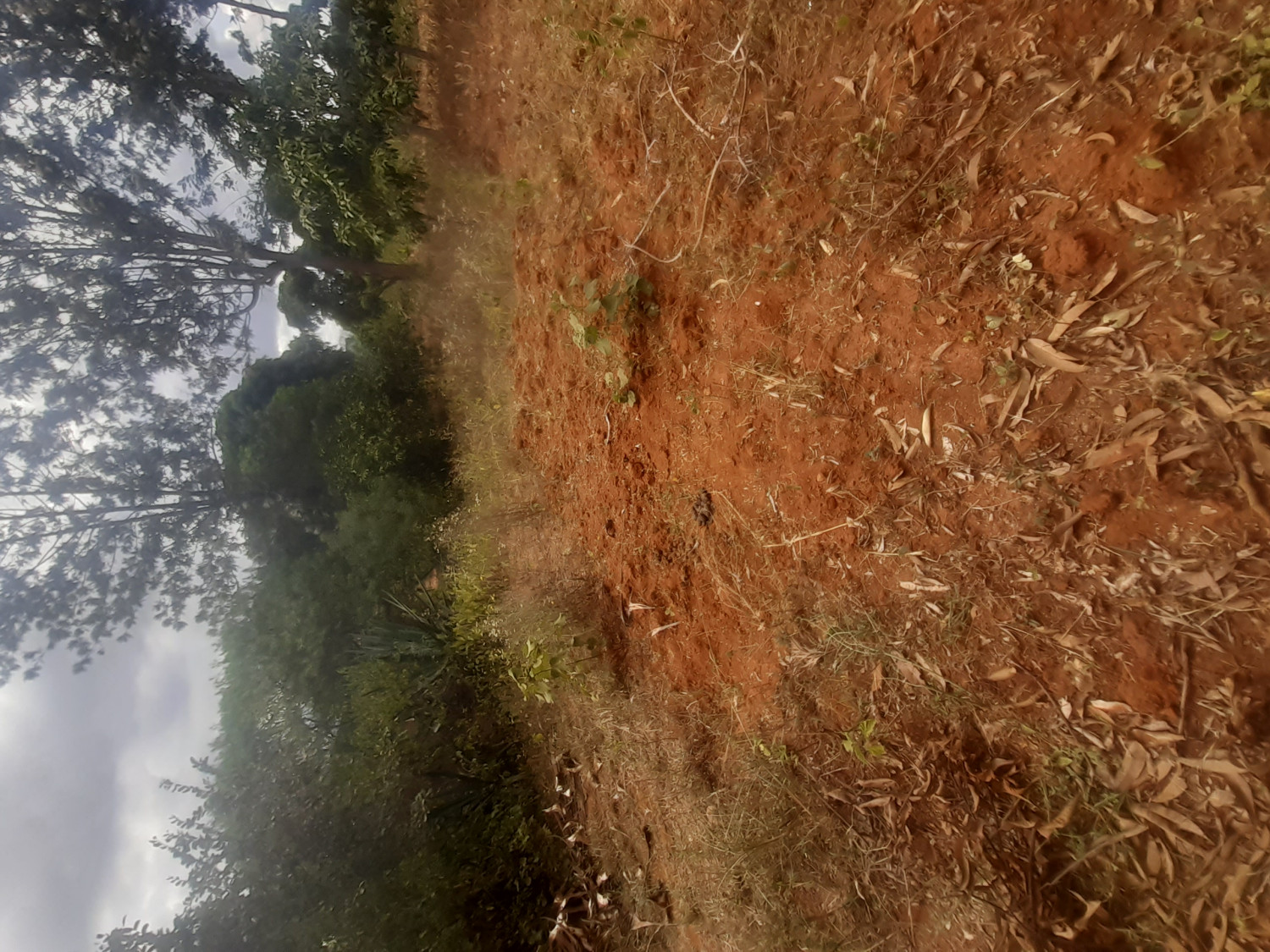 30 acres land