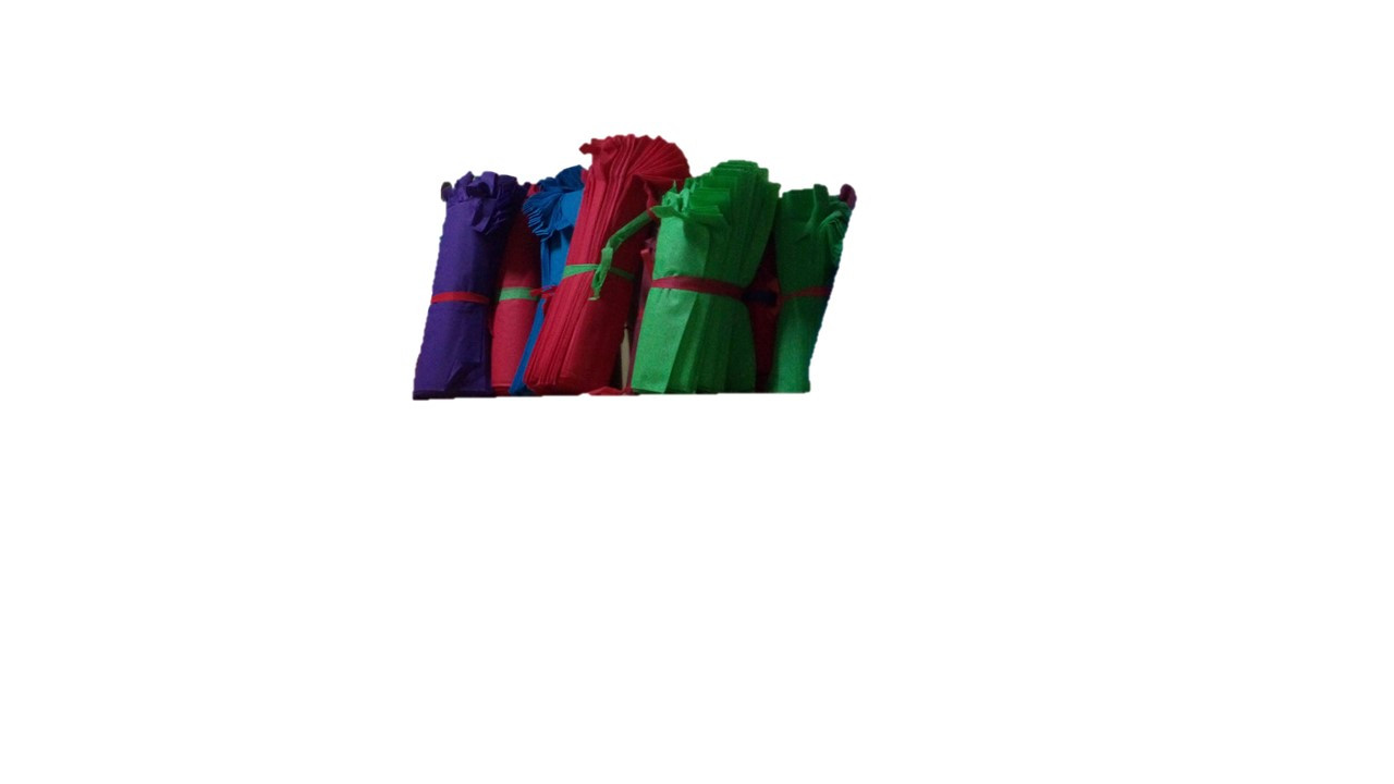 Non Woven Shopping bag #22 (50 Pcs per pack)