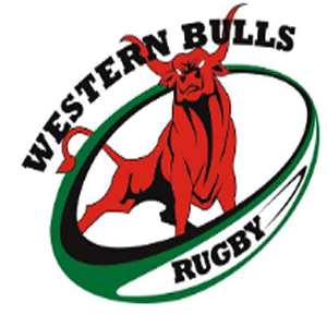 Western bulls
