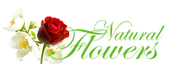 Natural flowers