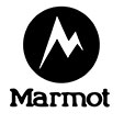 Marmot