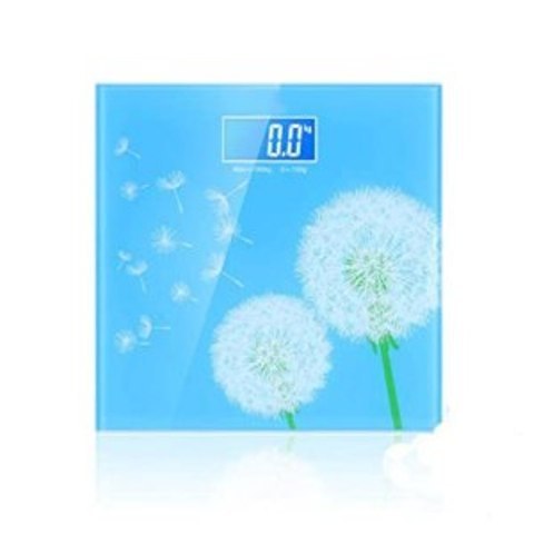 Body scale/weighing scale/bathroom scale for slimming measurement