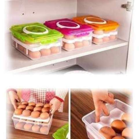 Eggs Tray-24