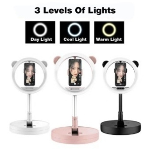 3 level makeup ring light with mirror