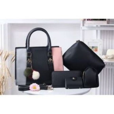 Fashion Lady Handbags 5 in 1 Set