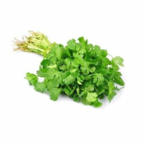 Dhania (Coriander)[Large]