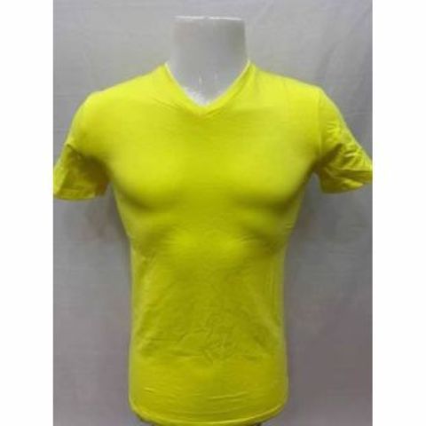 Plain v neck, body fitting tshirts