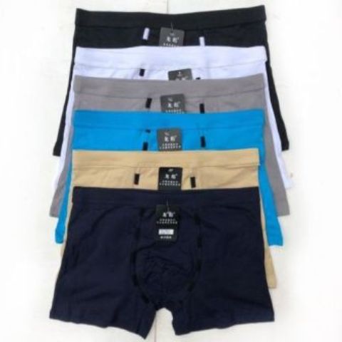Fashion 6Pack Stylish Pure Cotton Brief Boxera