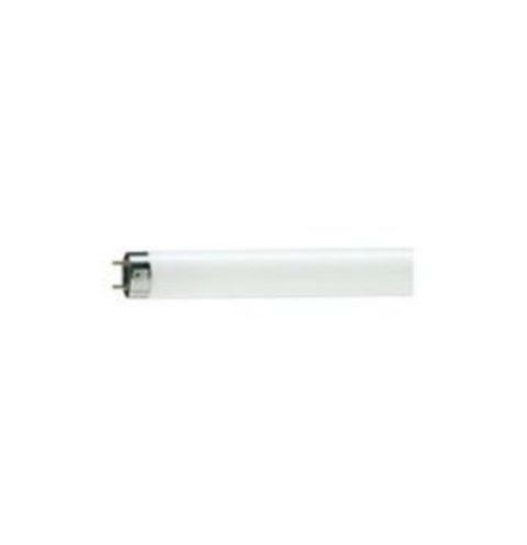 Philips Tube Light TL8 TL D 58W/54-765 1SL/25 05422