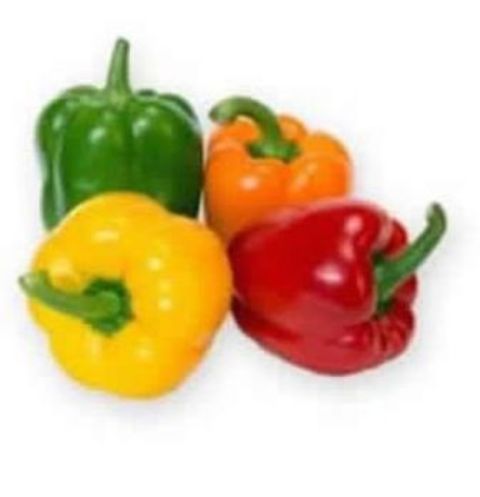 Generic, Coloured Capsicum