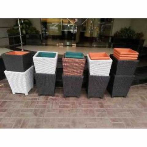 African  Flower Port