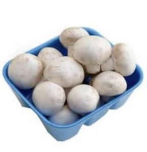 Generic, Mushrooms Pack