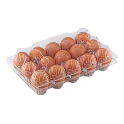 Ken Egg Golden Yolk Eggs