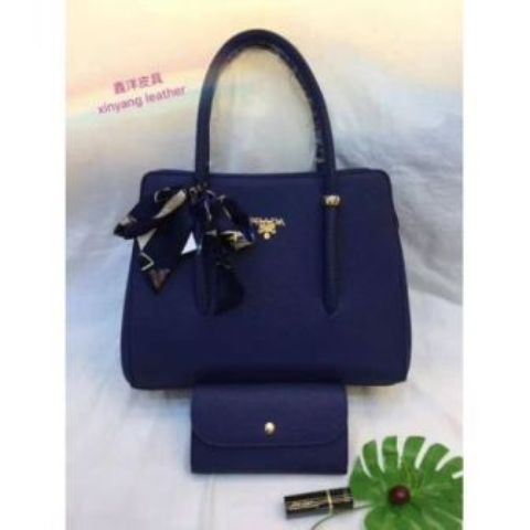 Fashion Lady Handbags 2 in 1 Set