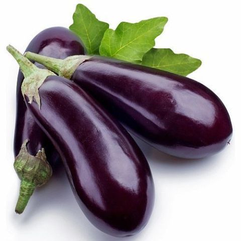 Brinjal ( Bringanya) Egg Plant