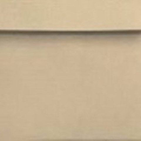 C3 (A3)Envelopes 229 x 324-Peal & Seal Brown