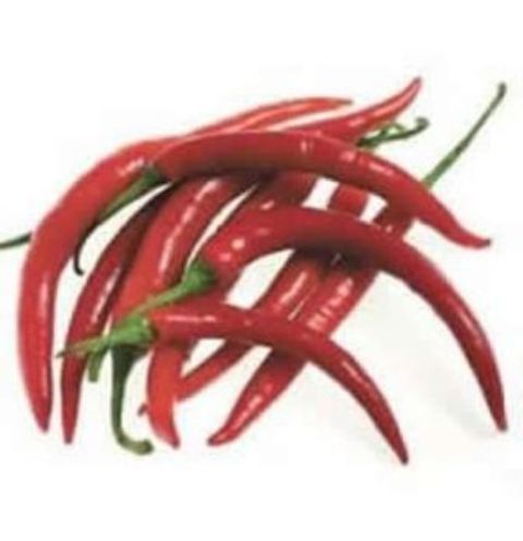 Generic, Fresh Chillies