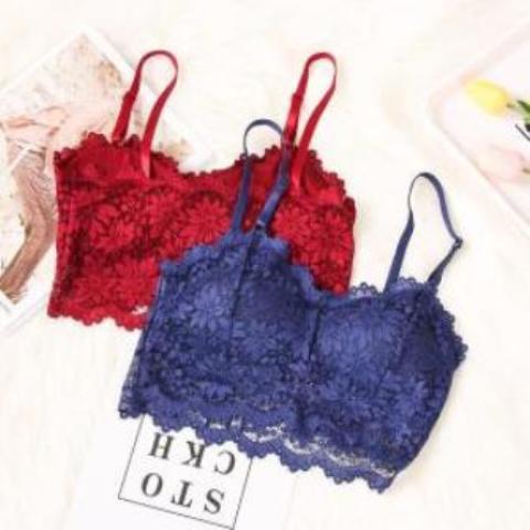 Pack of 4 Sexy Bra Lace Bralette Sexy Lingerie Wireless Padded Seamless Bra