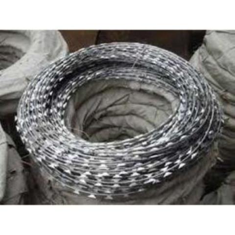 Razor wire Galvanized