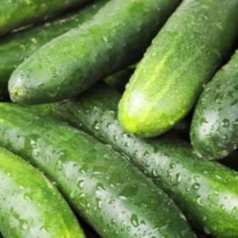 Cucumber (Local)